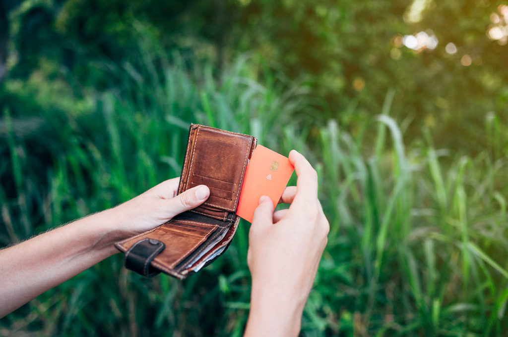 Mains qui ouvrent un portefeuille dans la nature